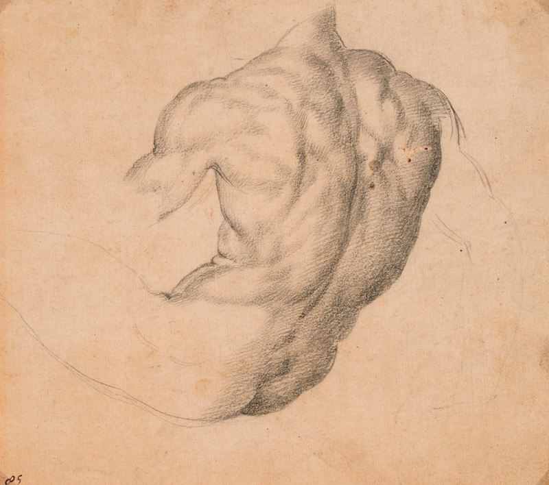 Artista romano della metà del XVI secolo Torso di spalle  - matita nera su carta - Auction Ancient Drawings and Paintings - I - Cambi Casa d'Aste
