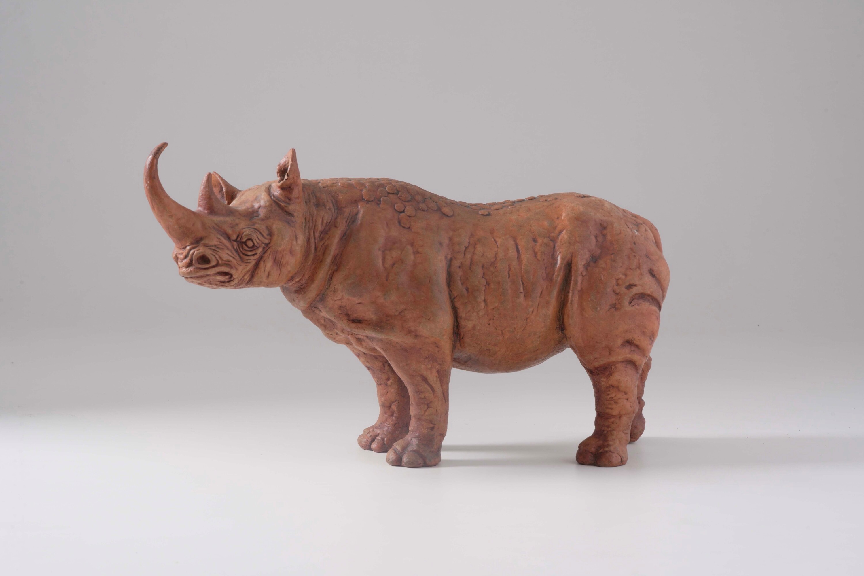 Plasticatore, Rinoceronte in terracotta patinata
