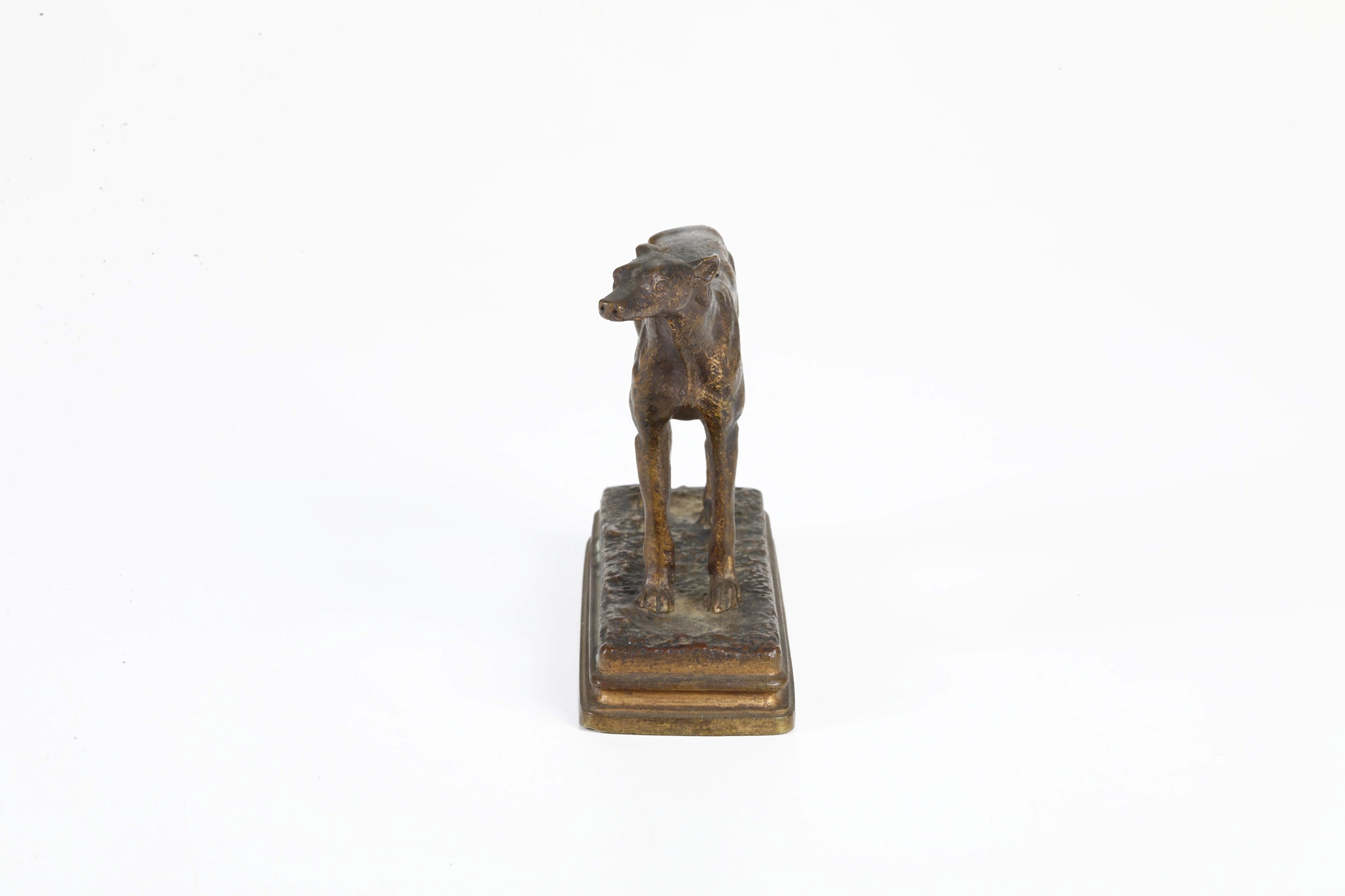 Figura di levriero in bronzo, XX secolo, dimensioni 12 x 4 x 9,5 cm