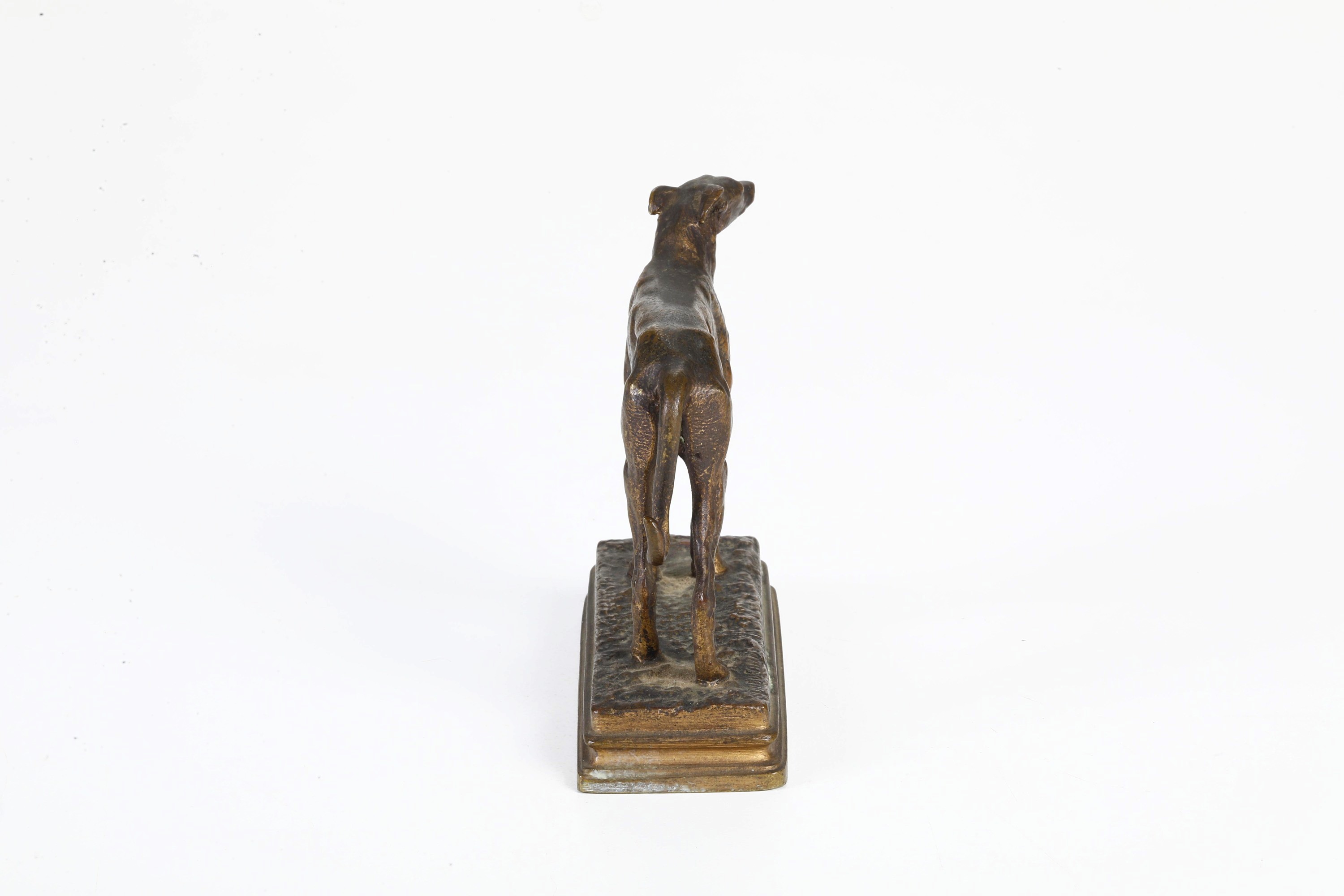 Figura di levriero in bronzo, XX secolo, dimensioni 12 x 4 x 9,5 cm