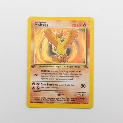 Pokemon - Maltres