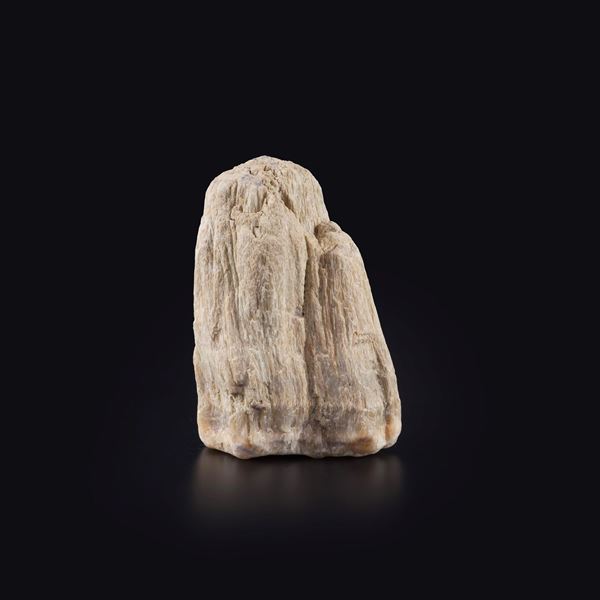 Strano segmento di legno fossile del Miocene su quarzo