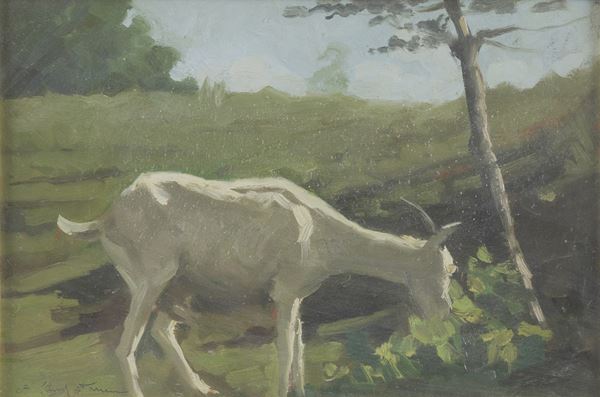 Capretta