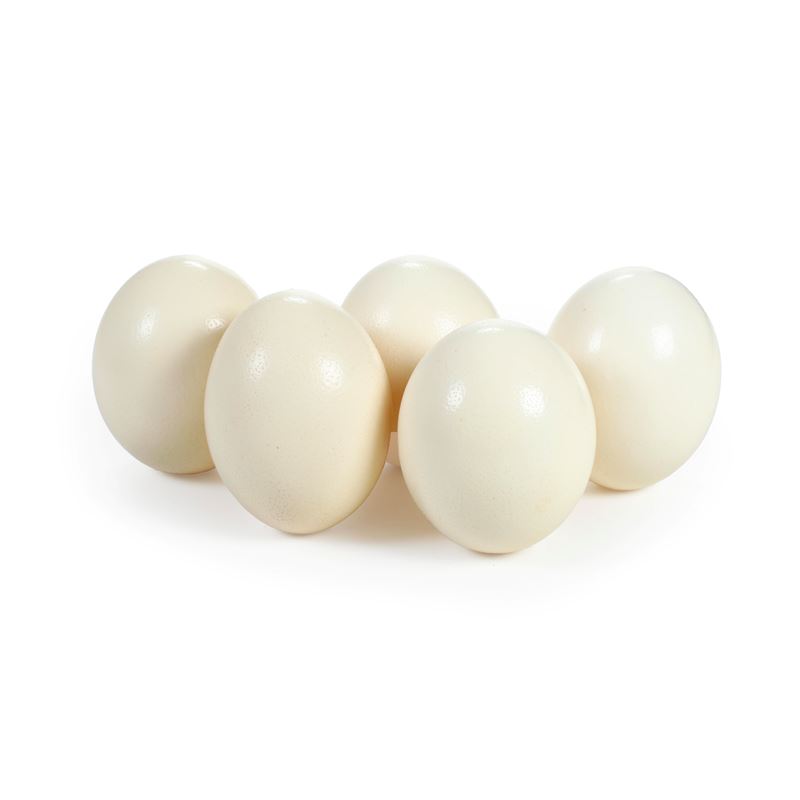 Lotto di cinque uova di struzzo  - Auction Antiques - Cambi Casa d'Aste