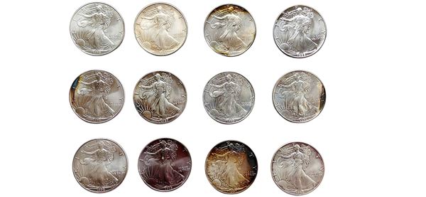 USA 1986-1999: 12 monete da 1 dollaro (one dollar Liberty) in argento.