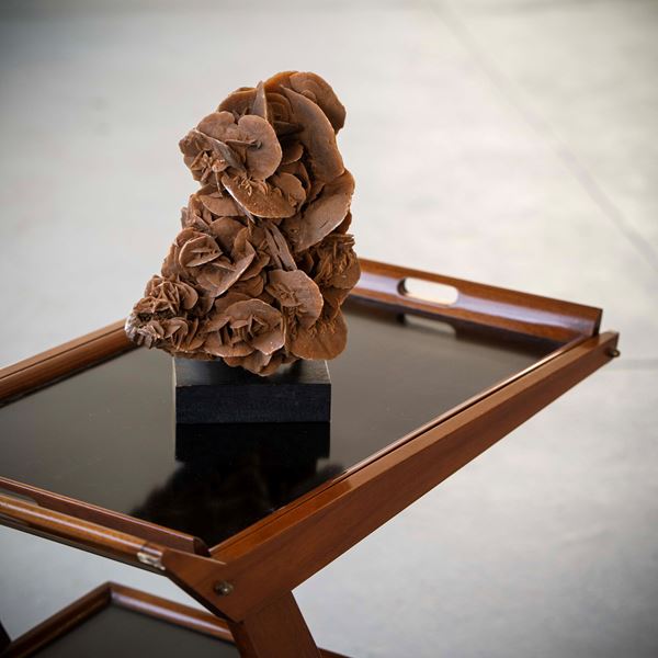 Monumentale rosa del deserto