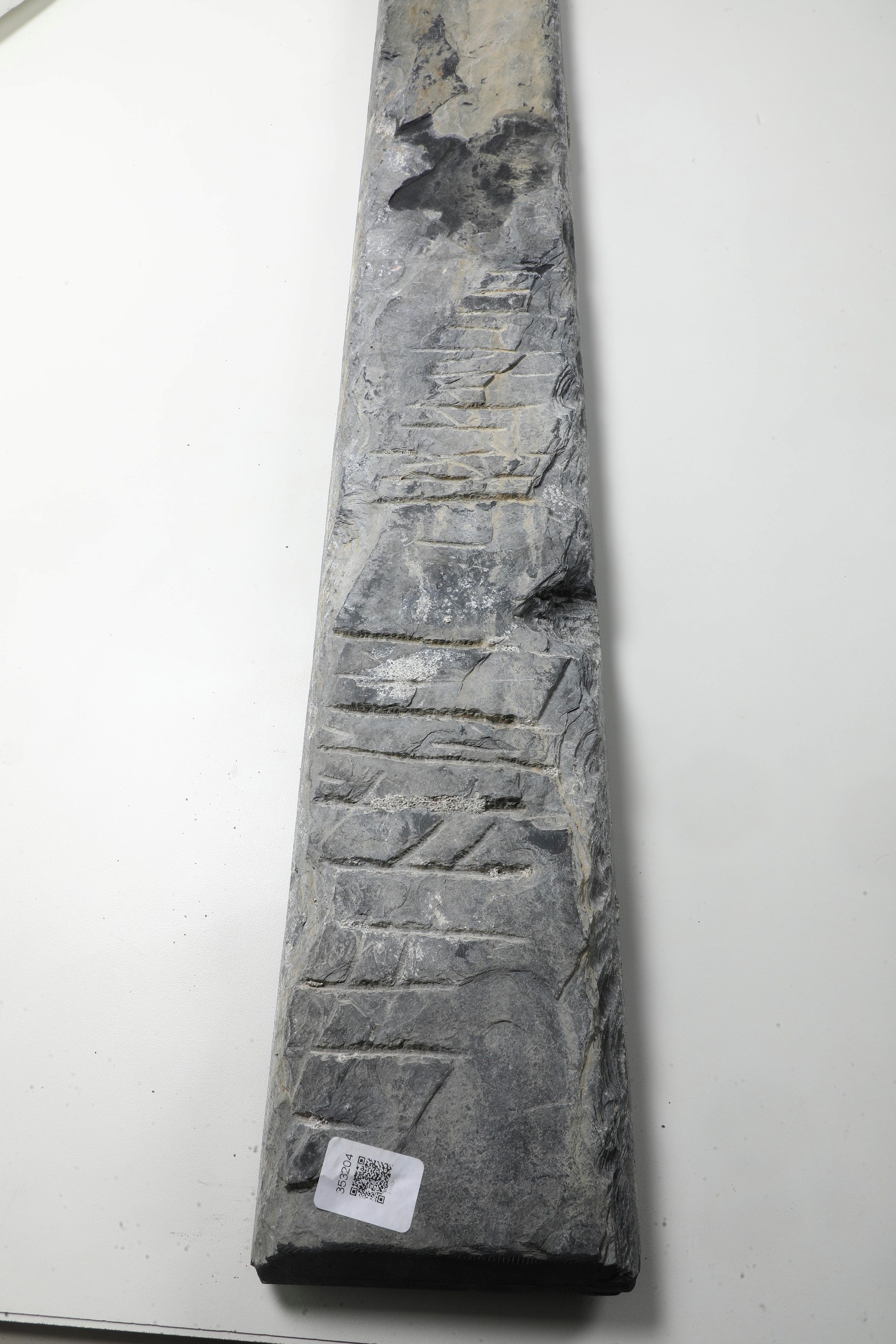 Fregio in argesia con decoro a girali fogliacei