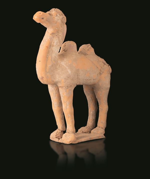 Cammello in terracotta con tracce di monocromia, Cina, Dinastia Tang (618-907)