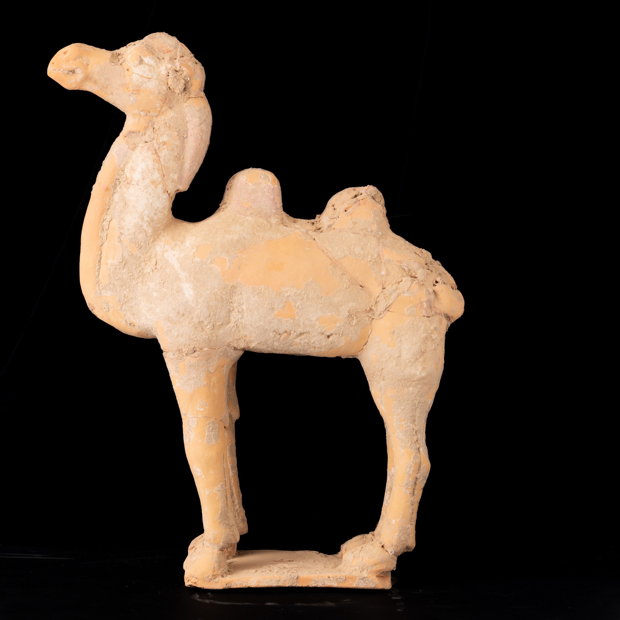 Cina, Dinastia Tang (618-907), Cammello in terracotta con tracce di monocromia