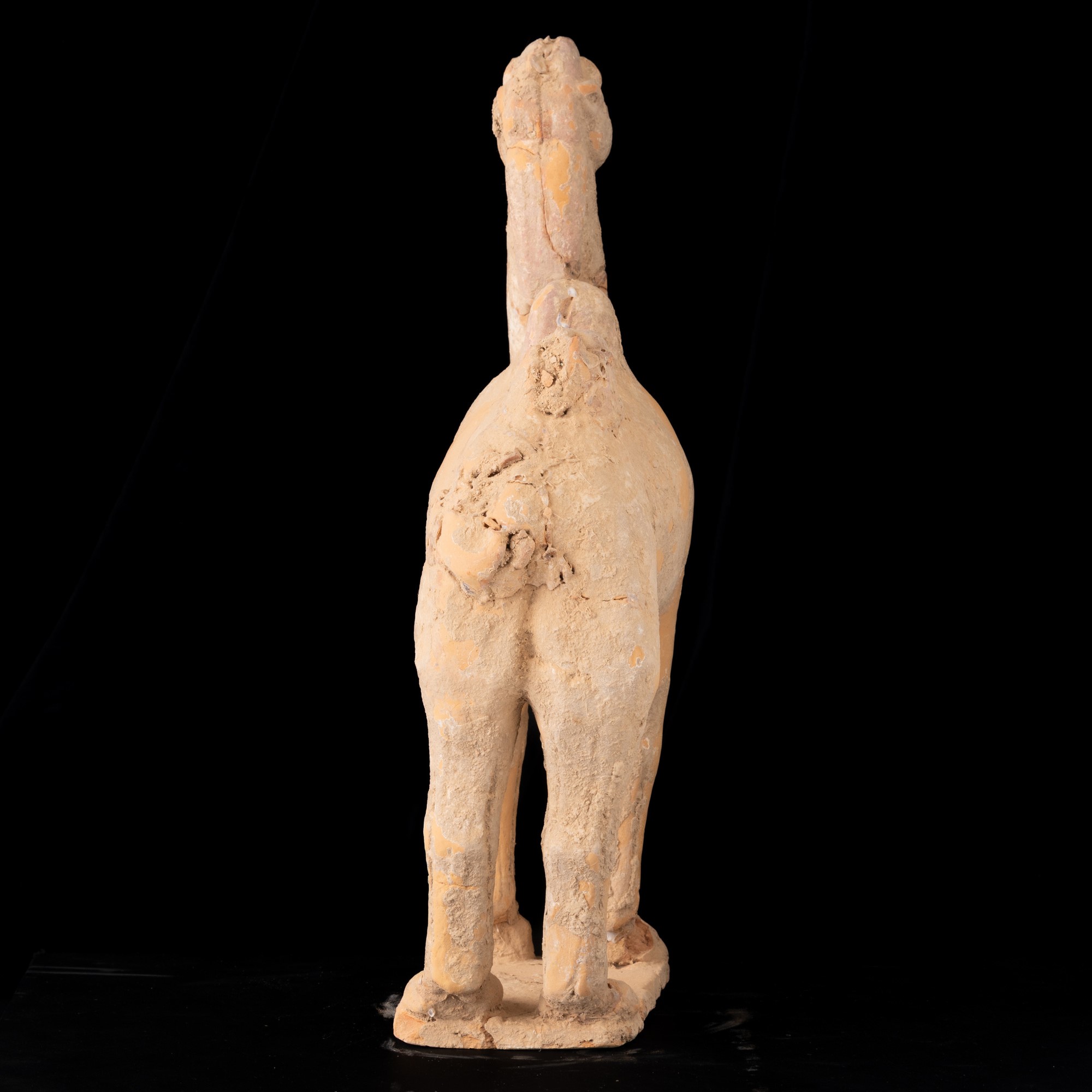 Cina, Dinastia Tang (618-907), Cammello in terracotta con tracce di monocromia