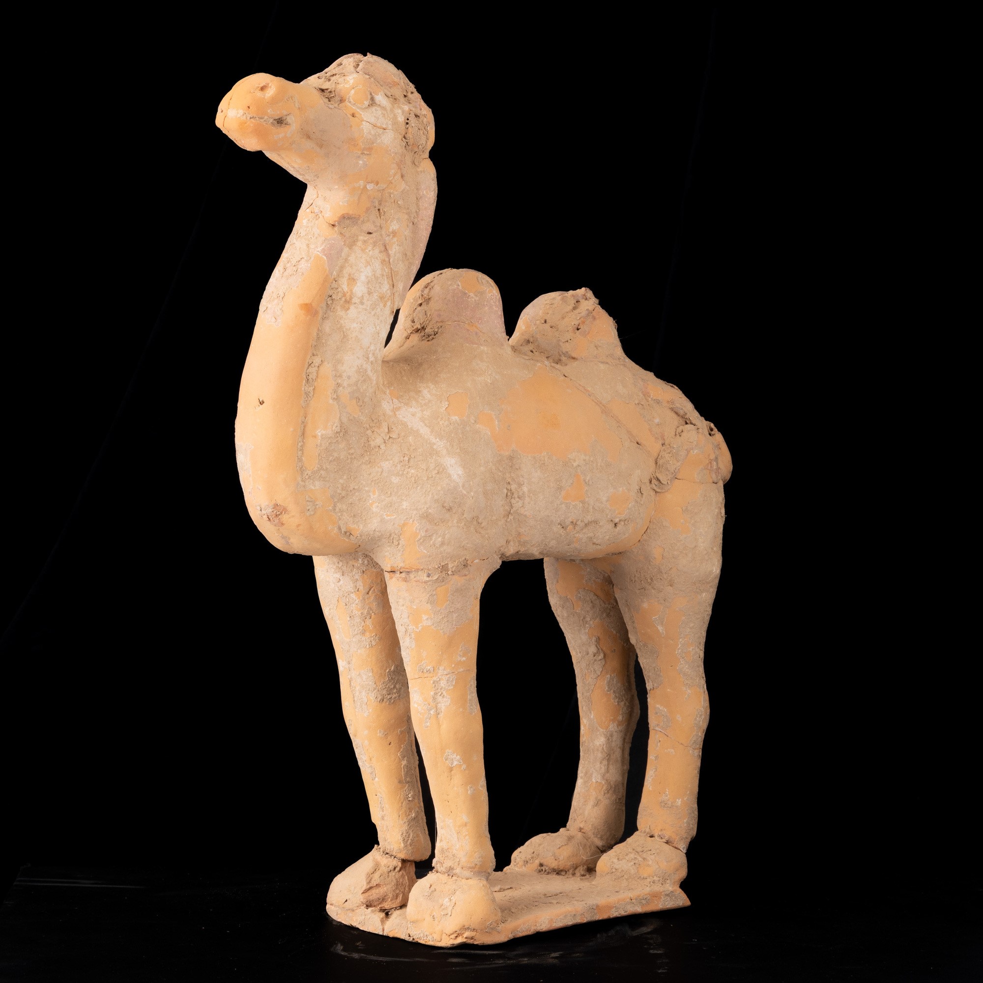 Cina, Dinastia Tang (618-907), Cammello in terracotta con tracce di monocromia
