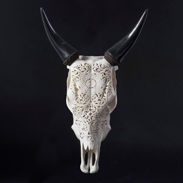 Bizzarro cranio di Bos Taurus inciso