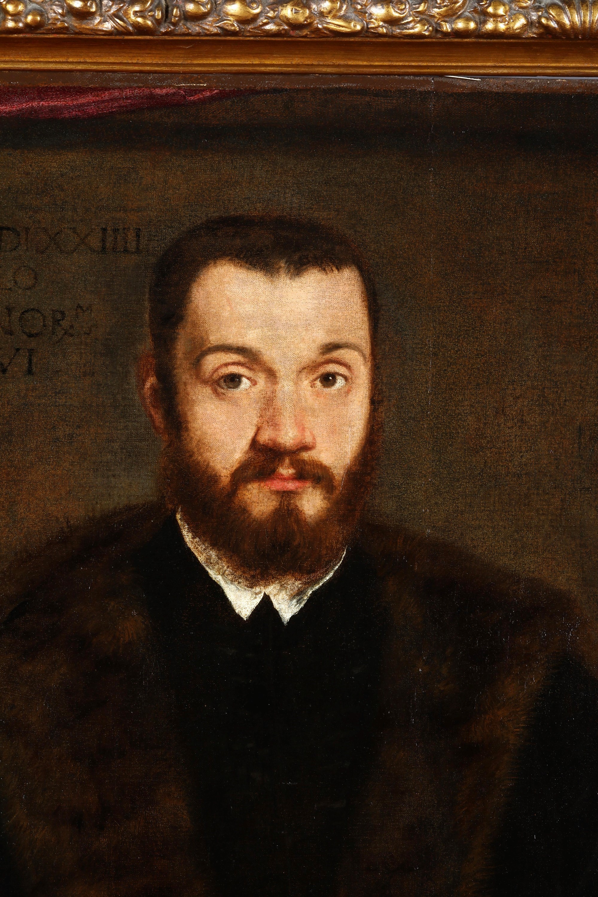 Paolo Caliari Detto il Veronese - Ritratto di Angelo Contarini, olio su tela applicata su tavola