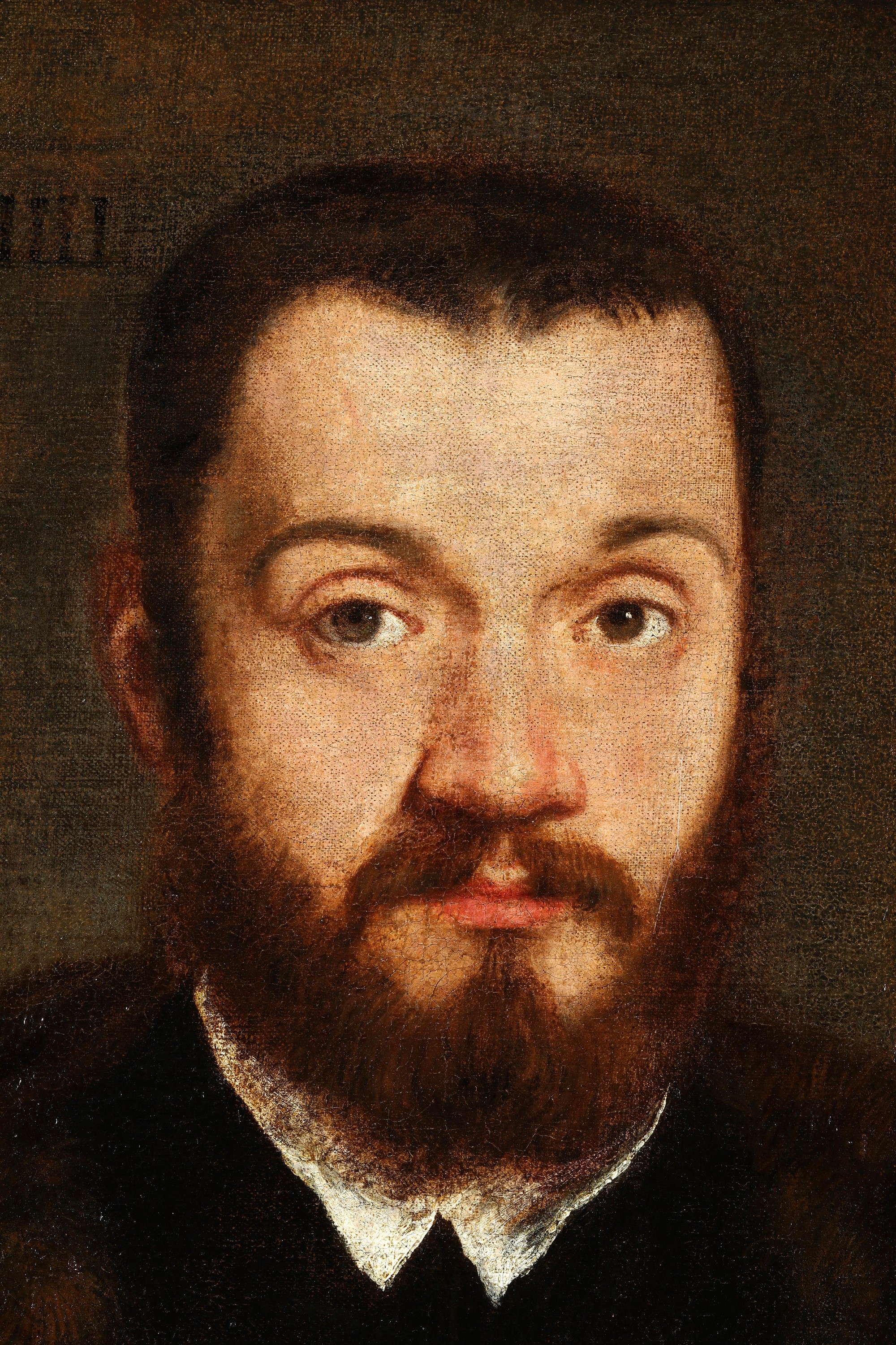 Paolo Caliari Detto il Veronese - Ritratto di Angelo Contarini, olio su tela applicata su tavola