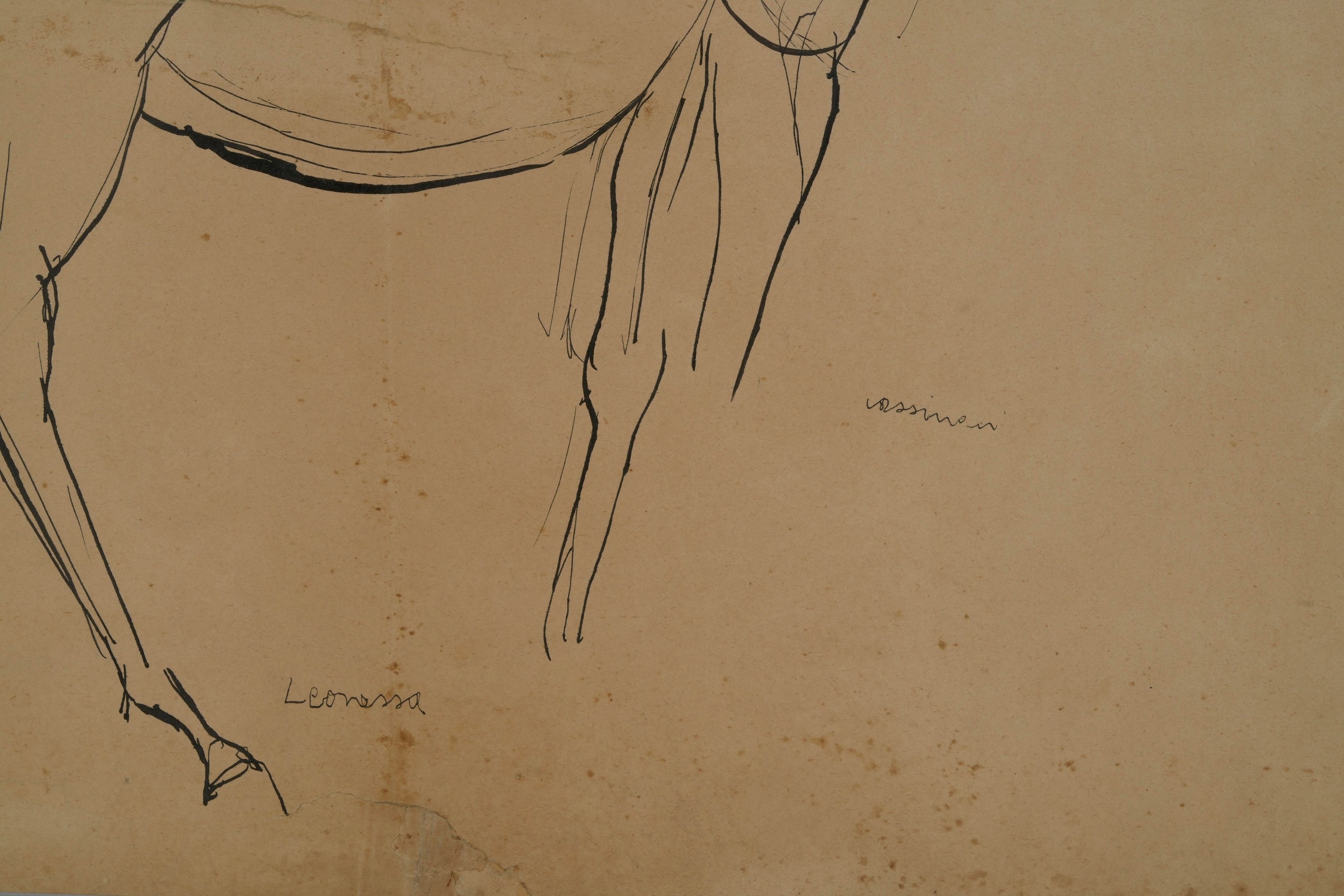 Bruno Cassinari - Leonessa