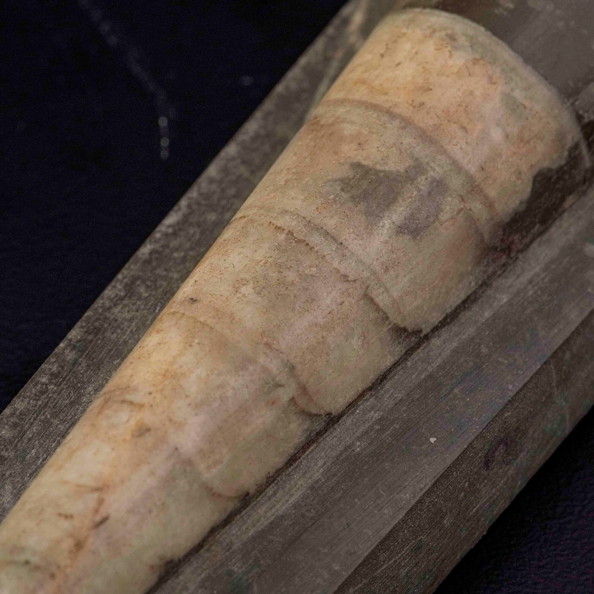 Grande e impressionante Orthoceras su matrice