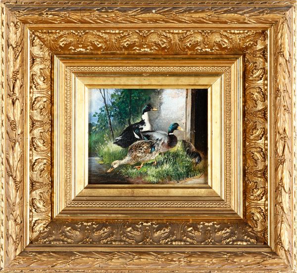 Anatre a galline