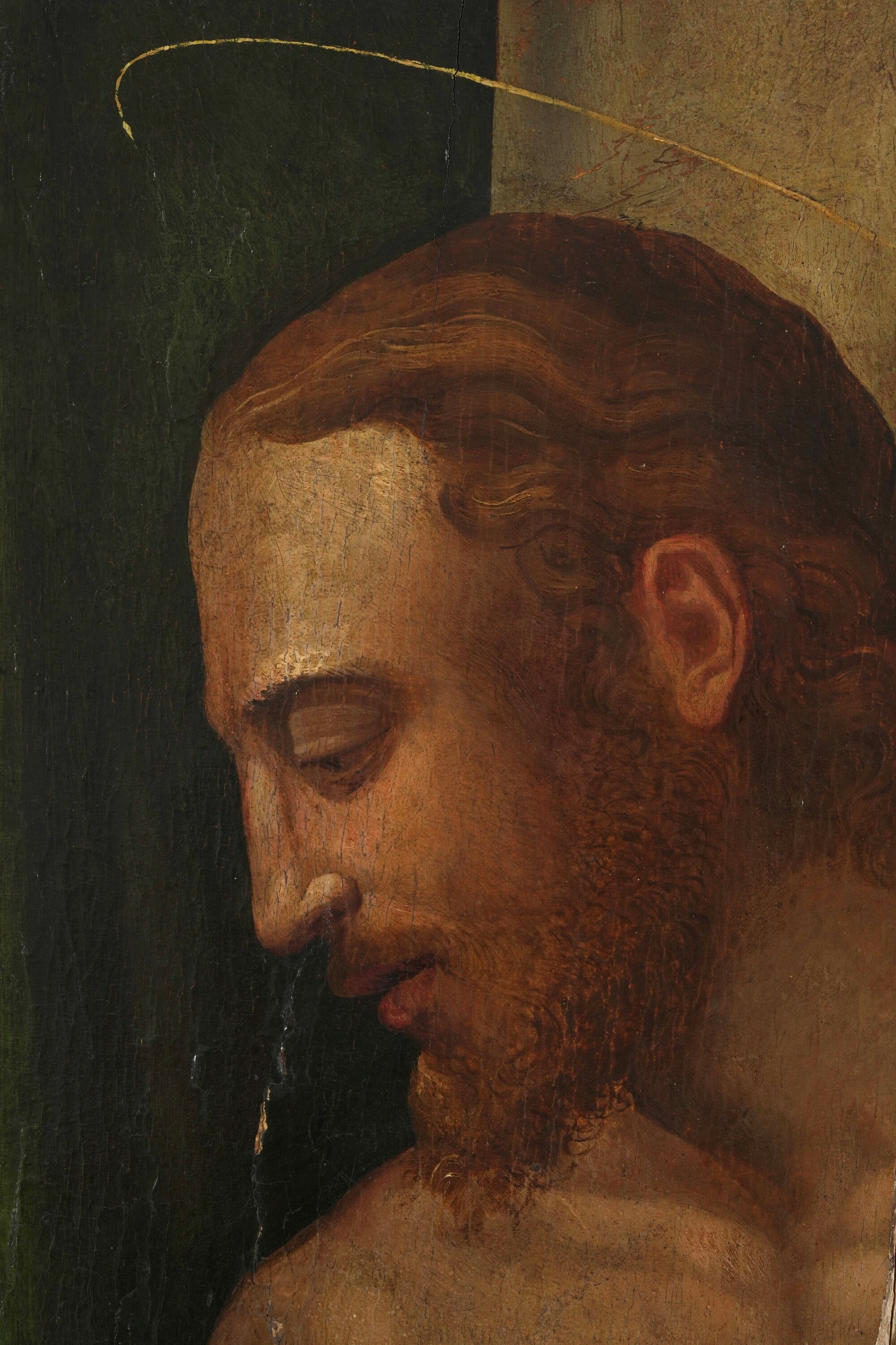 Scuola del XVI secolo, Cristo alla colonna, olio su tavola