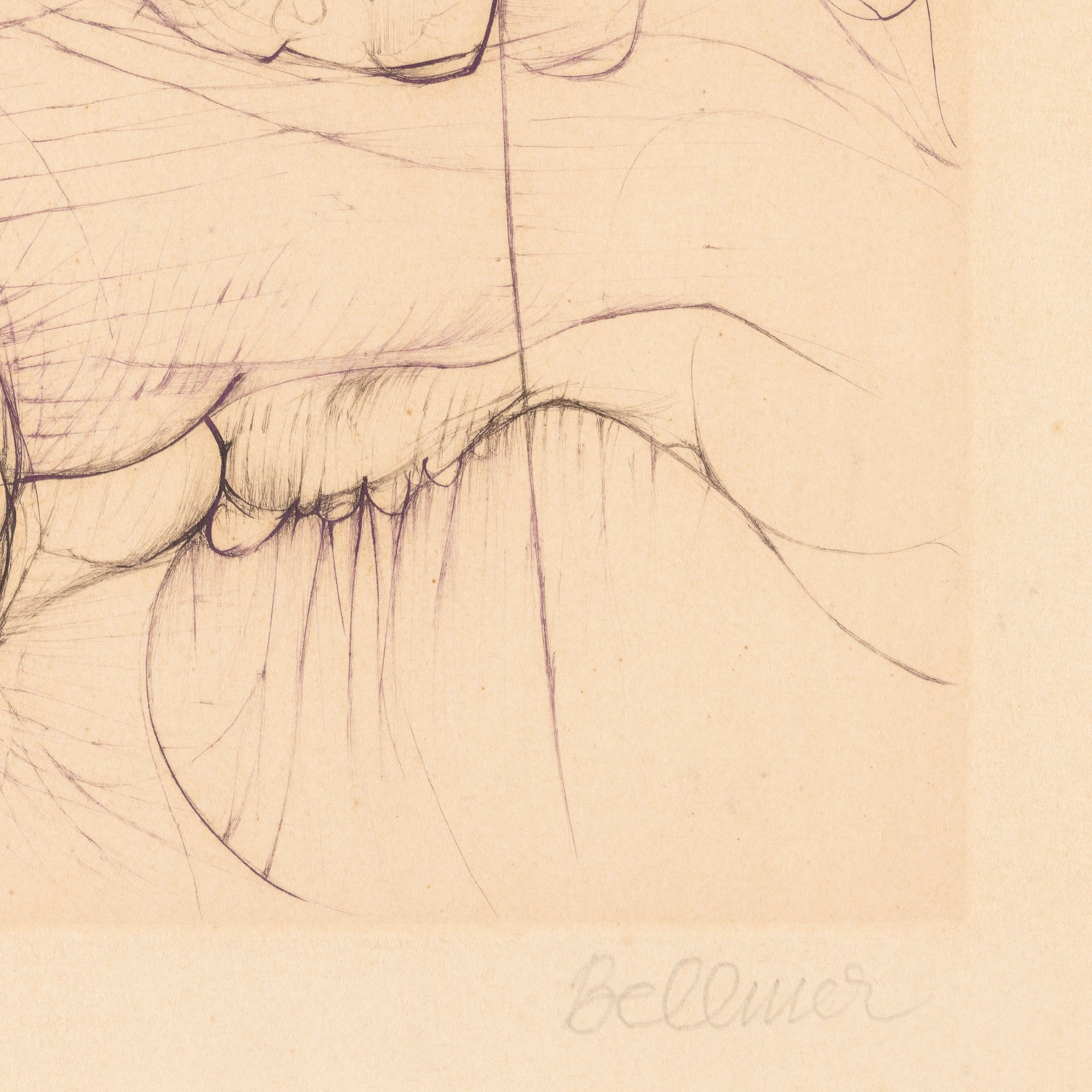 Hans Bellmer - Senza titolo (Acquaforte, 66 x 50 cm)