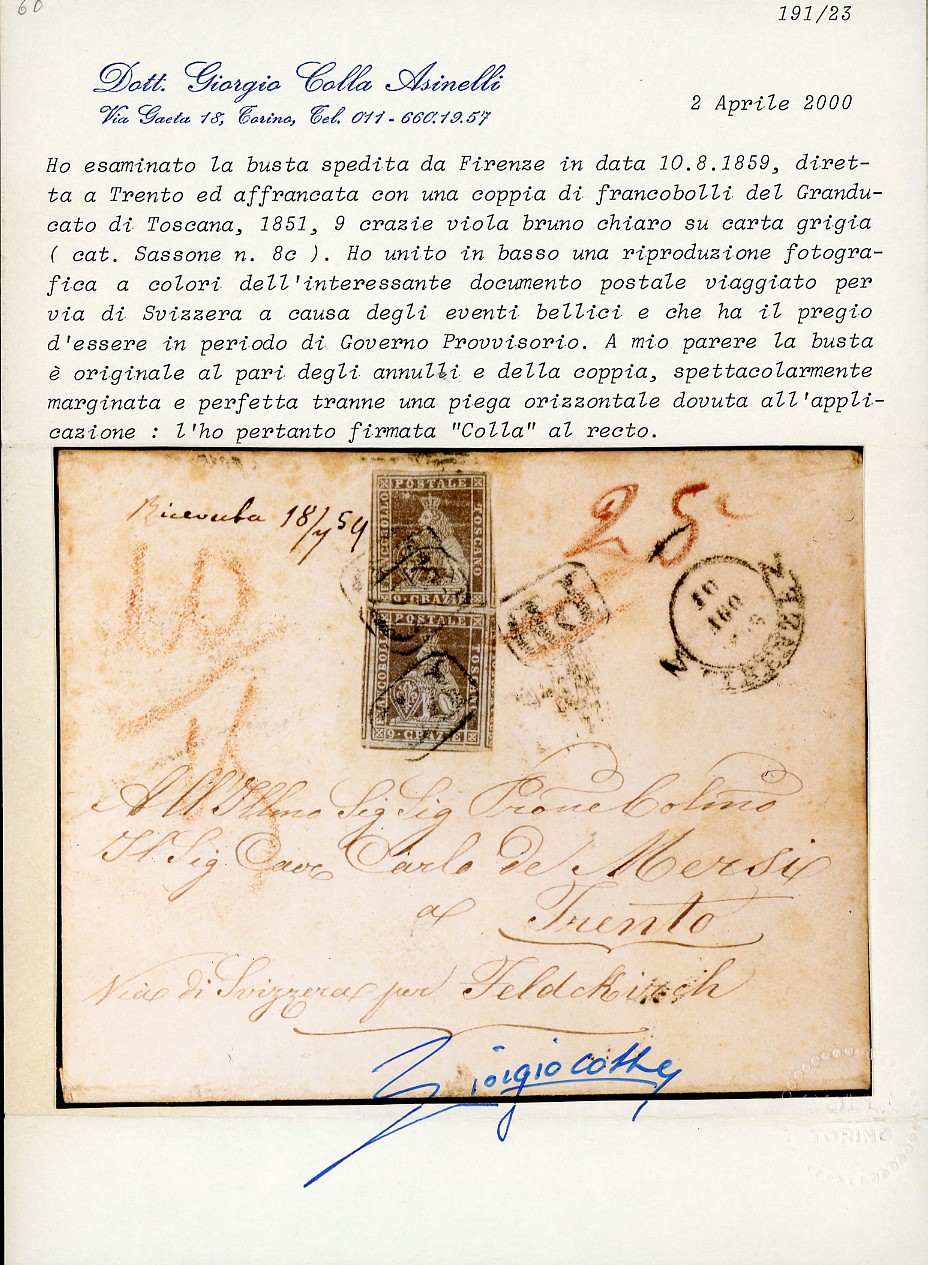 1859 - Francobollo '9 crazie' bruno violaceo chiaro su grigio, I emissione (8c), coppia verticale...