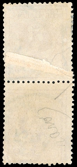 1901, Francobollo floreale da 2 cent., coppia verticale, esemplare superiore su carta ricongiunta...