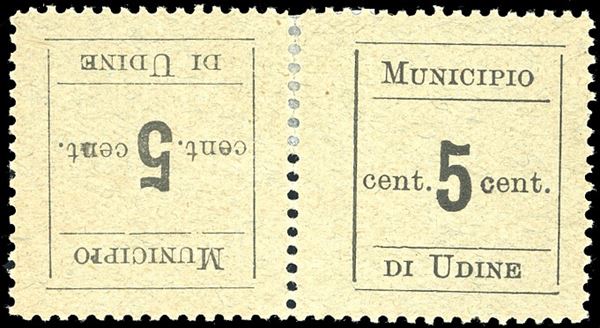 UDINE 1918 - 5 cent., coppia orizzontale tète-bèche con i francobolli dentellati su tutti i quattro lati (1d), nuova, gomma originale, perfetta. E.Diena.