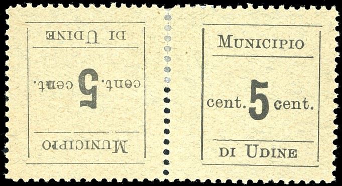 UDINE 1918 - 5 cent., coppia orizzontale tète-bèche con i francobolli dentellati su tutti i quattro lati (1d), nuova, gomma originale, perfetta. E.Diena.  - Auction Philately - Cambi Casa d'Aste