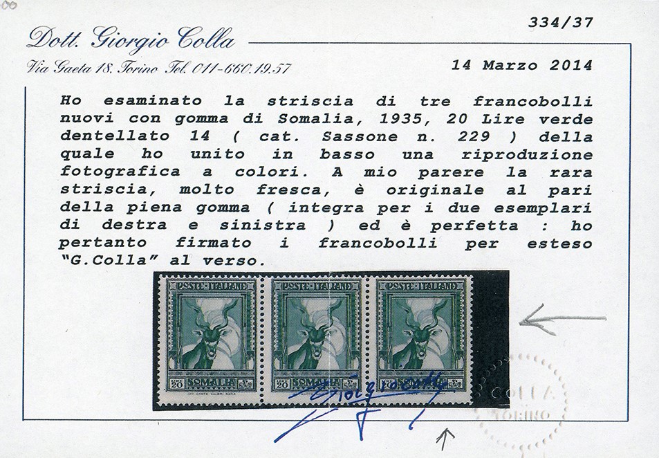 1937 - 20 Lire Pittorica, dent. 14, gomma originale integra, perfetto stato di conservazione