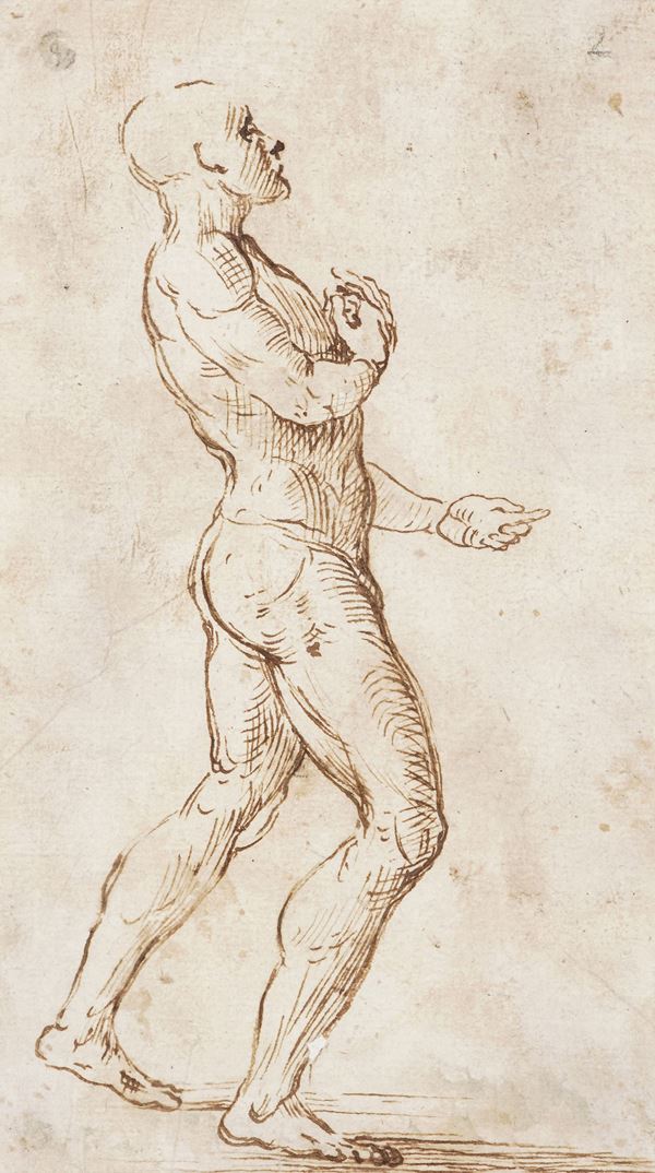 Studio di figura di profilo