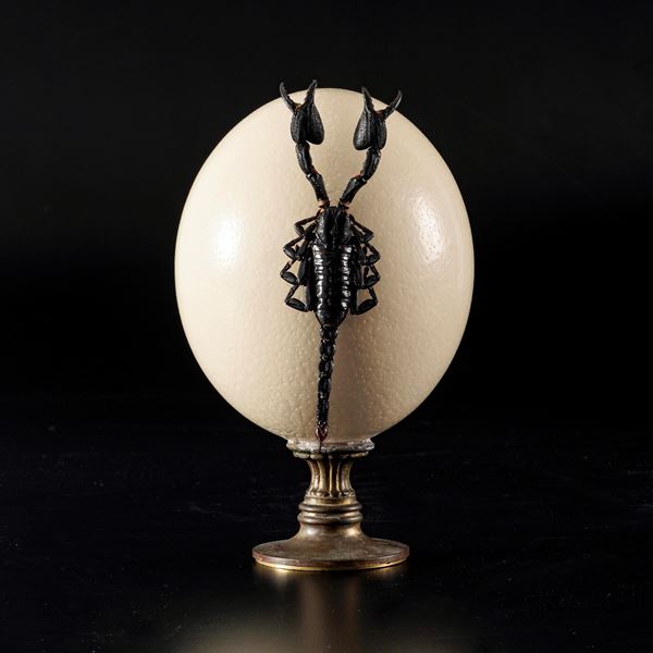 Grande uovo di struzzo su base in metallo dorato e tassidermia di scorpione. (Javanimetrus Cyaneus)