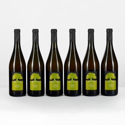 Tocai Friuliano, Scubla 2006