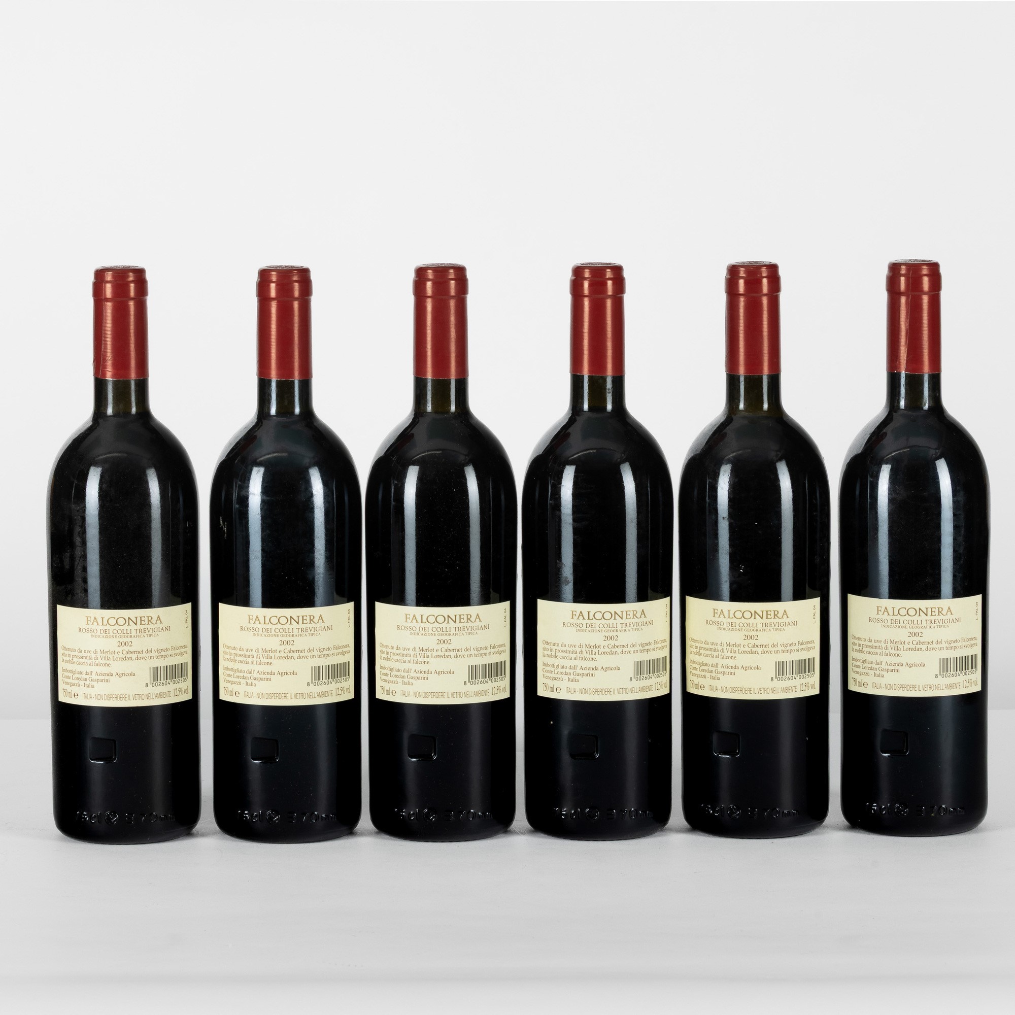 Falconera, Conte Loredan Gasparini 2002
