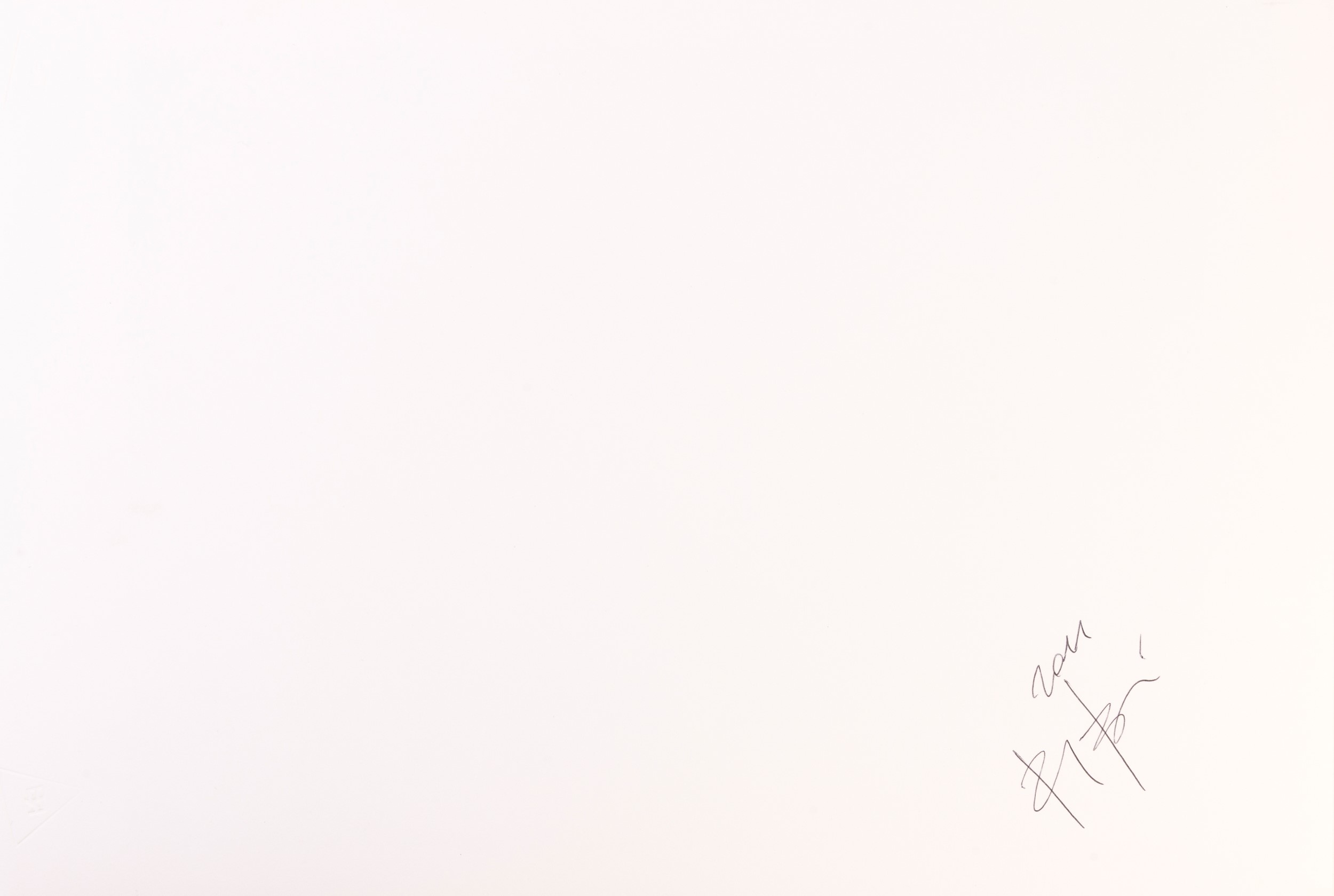 Riccardo Bagnoli - Senza titolo - C-print, 2011