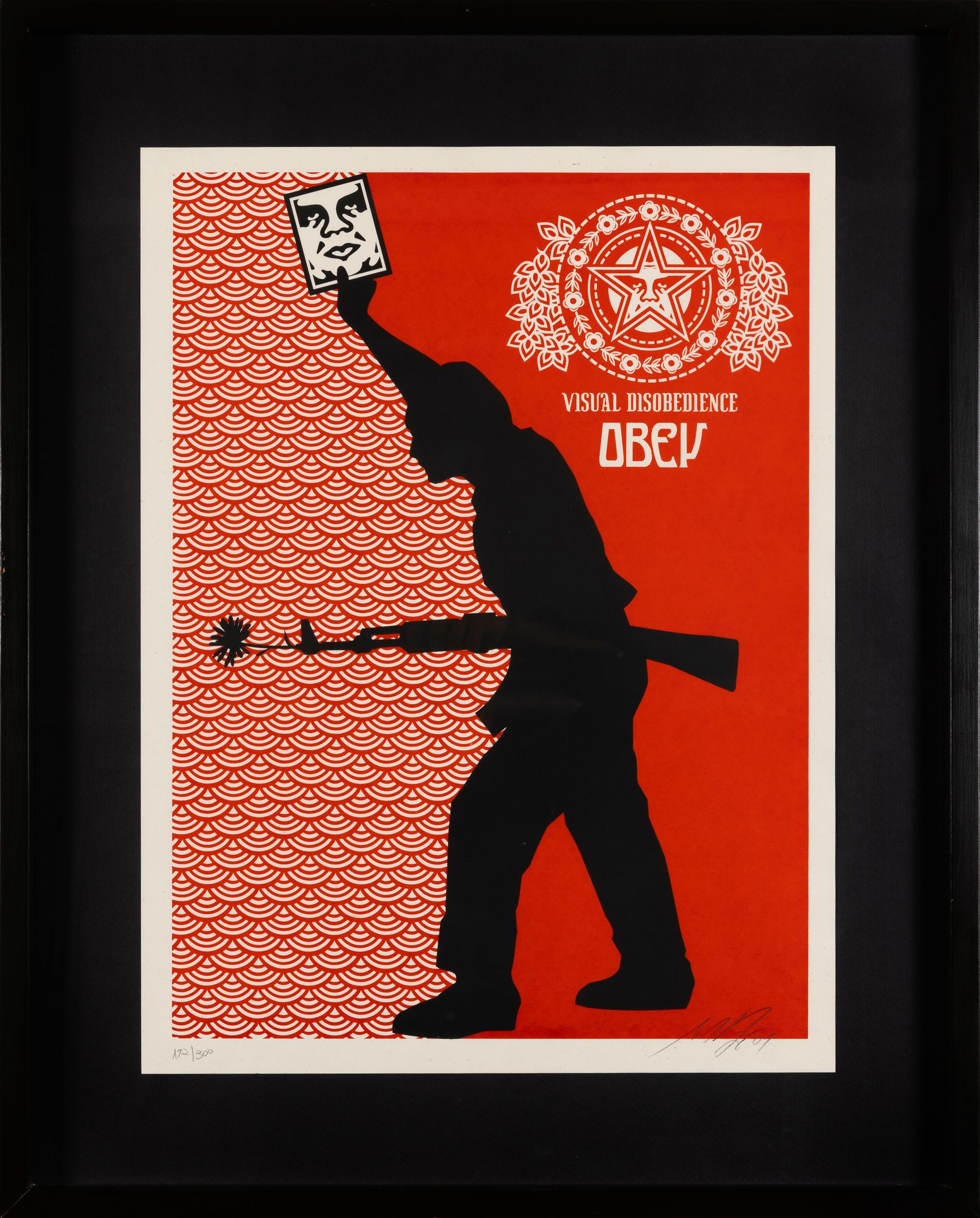 Visual Disobedience