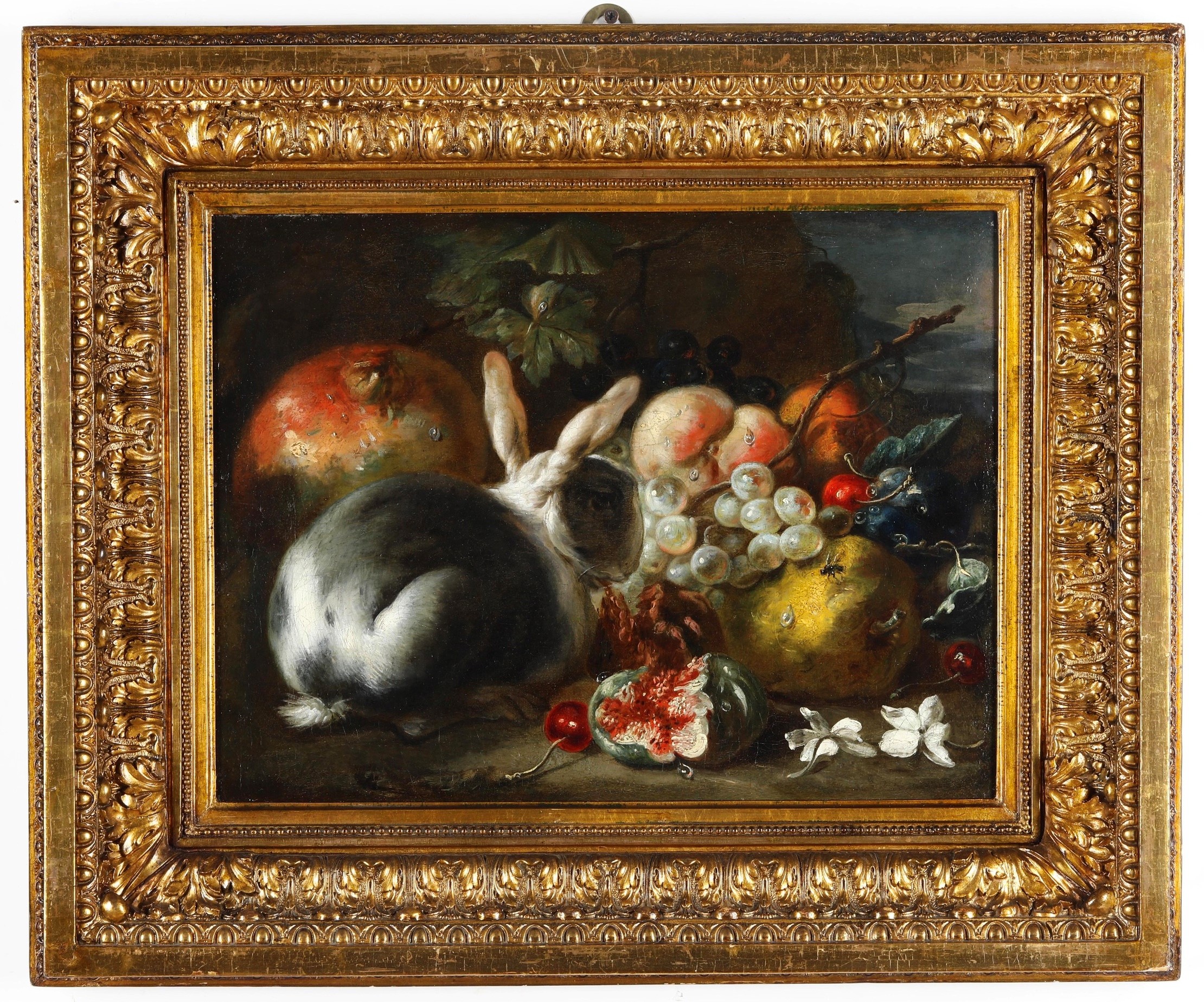 Franz Werner Von Tamm - Natura morta di frutta con coniglio, olio su tela