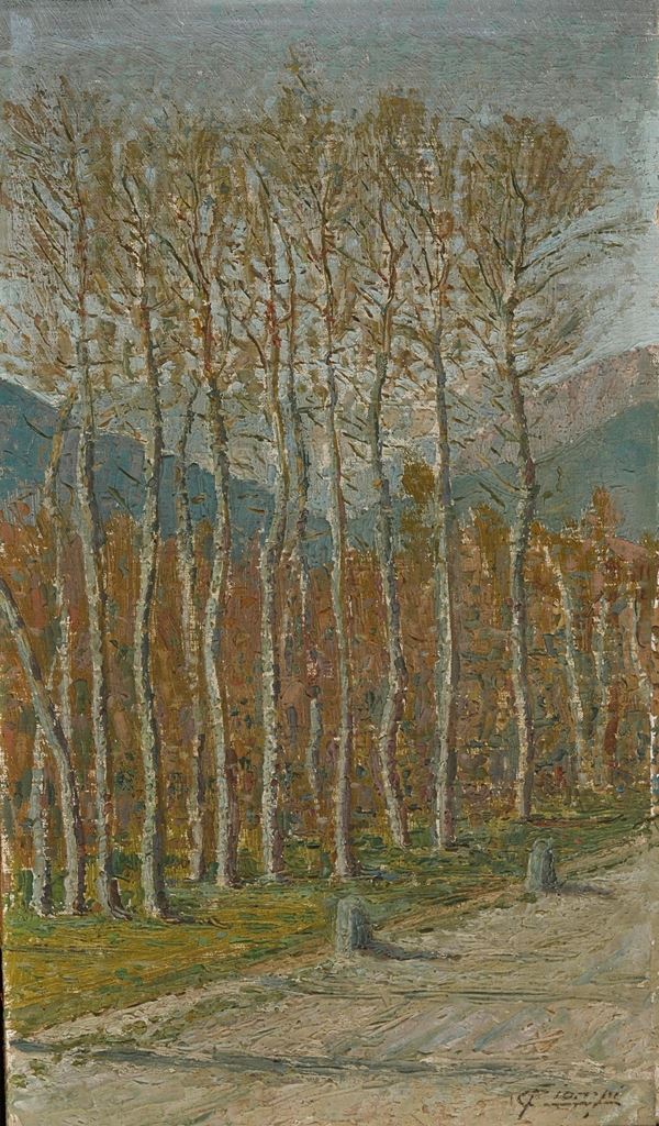 Fausto Ciompi delle Notti - Campagna