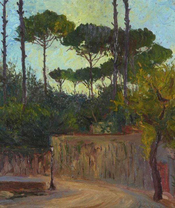 Strada con pini