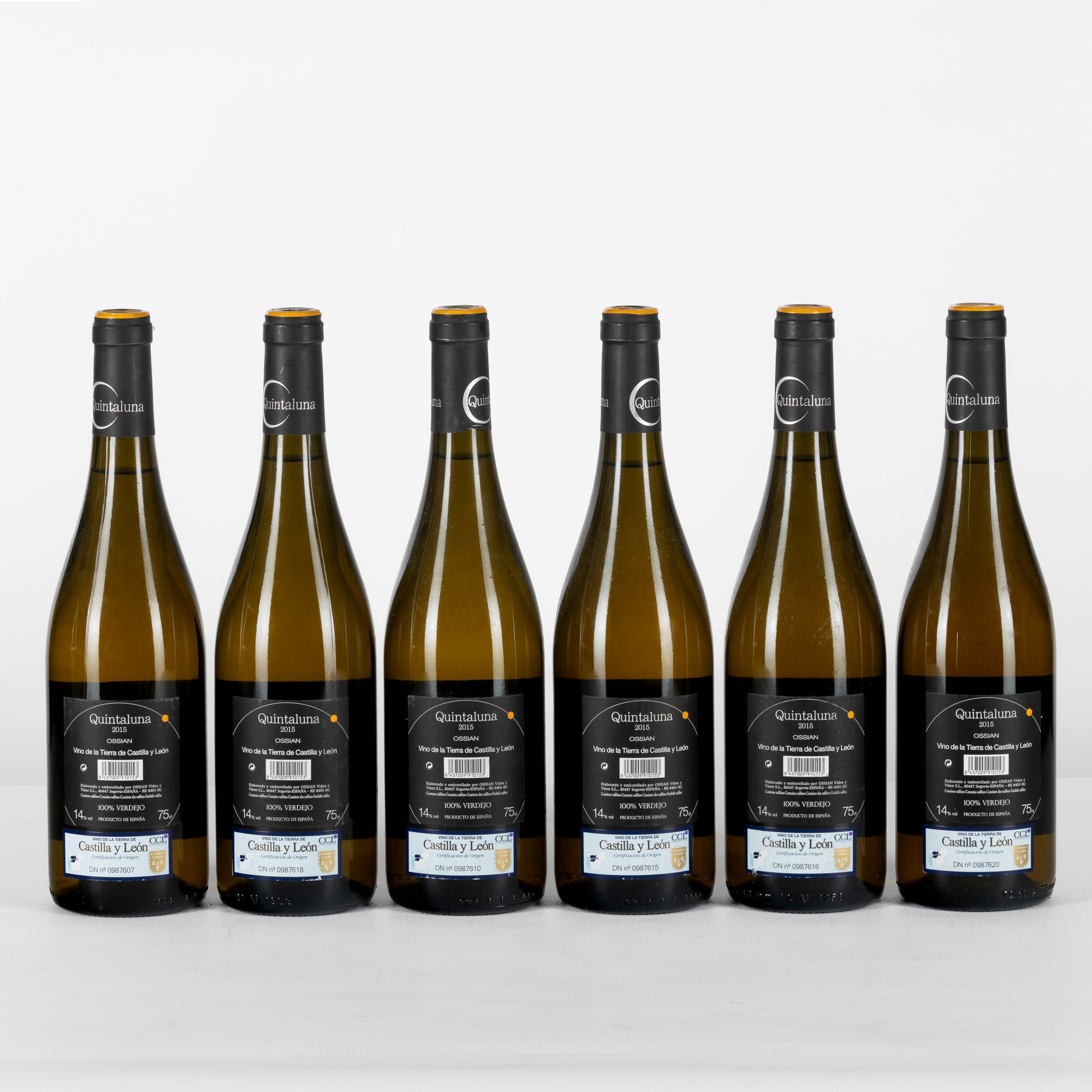 Quintaluna, Ossian Vides Y 2015
