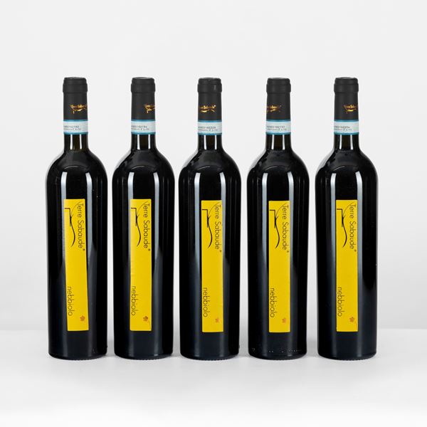 Nebbiolo D'Alba, Terre Sbaude 2011