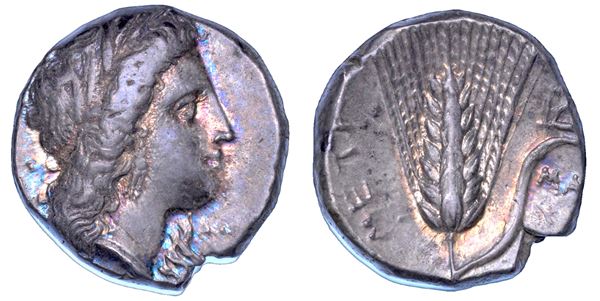 LUCANIA - METAPONTO.<BR> Nomos, 330-290 a.C.