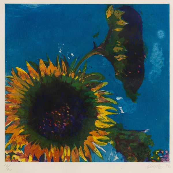Girasole