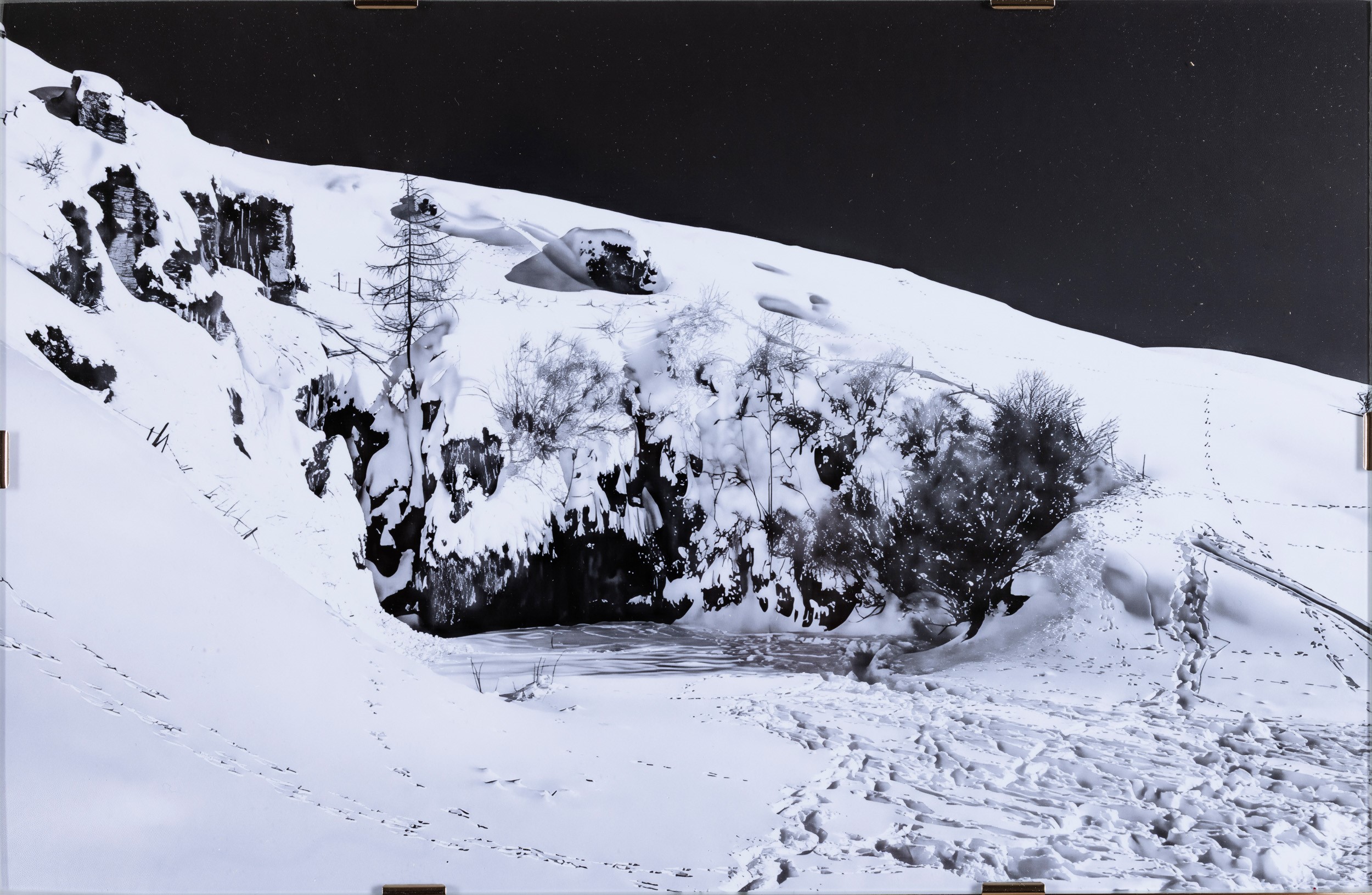 Abbas Gharib - Snow White (stampa pigmentata digitale su carta fotografica, 2019)