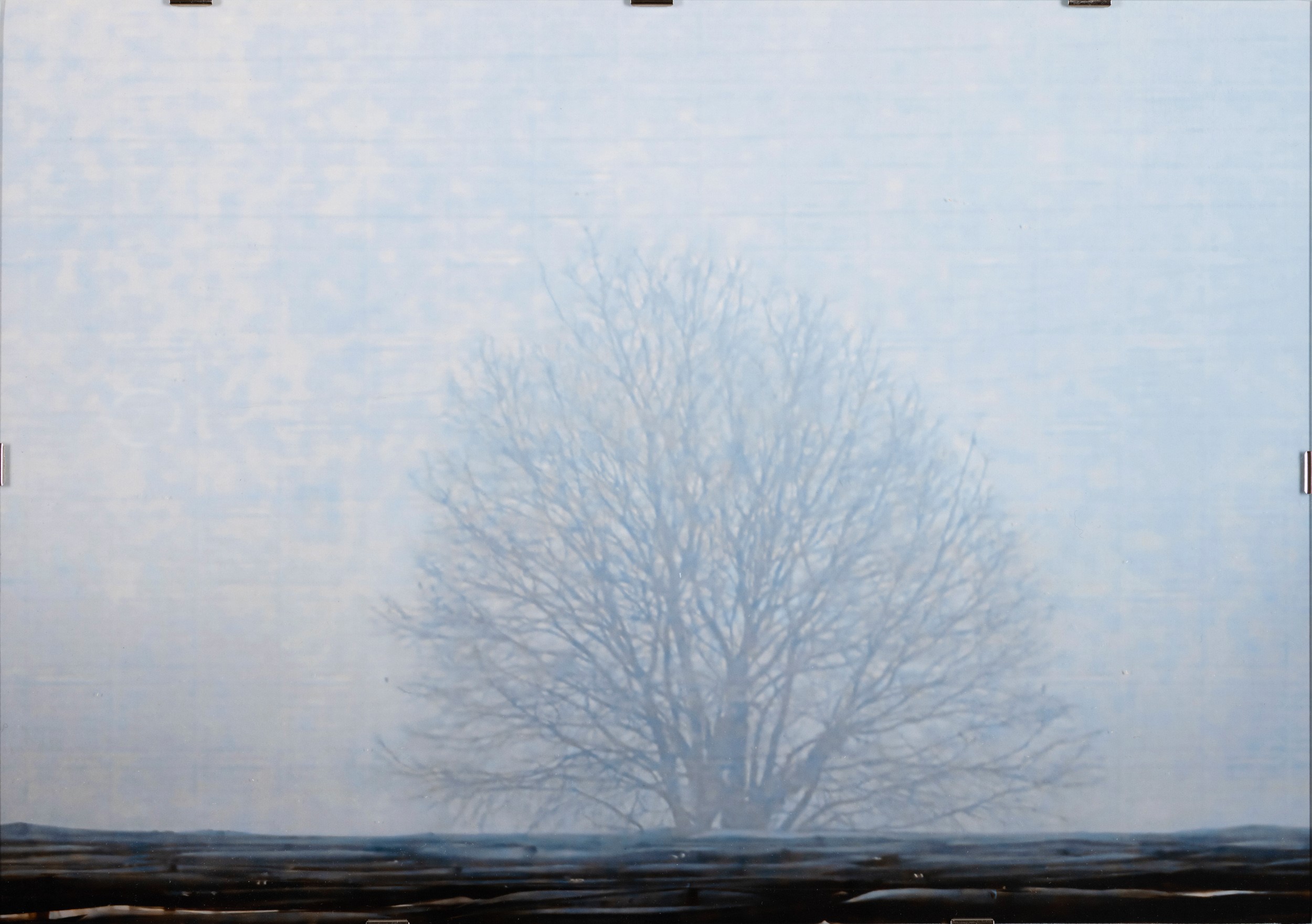 Trees
