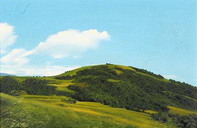 Paesaggio Ligure