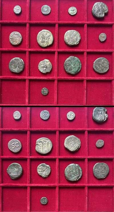REPUBBLICA ROMANA, Lotto di tredici monete in bronzo