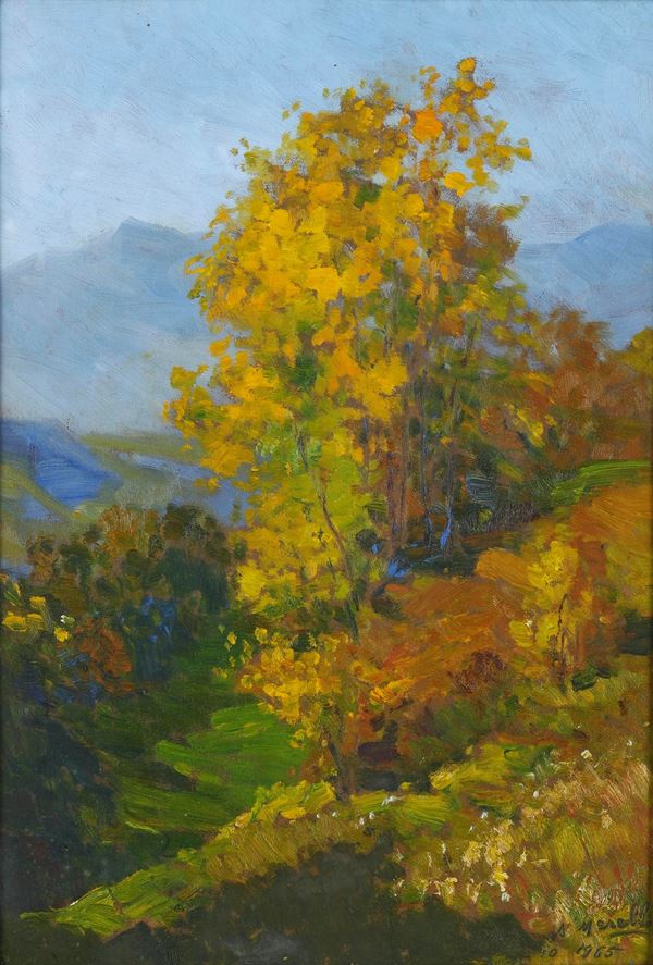 Amedeo Merello - Albero