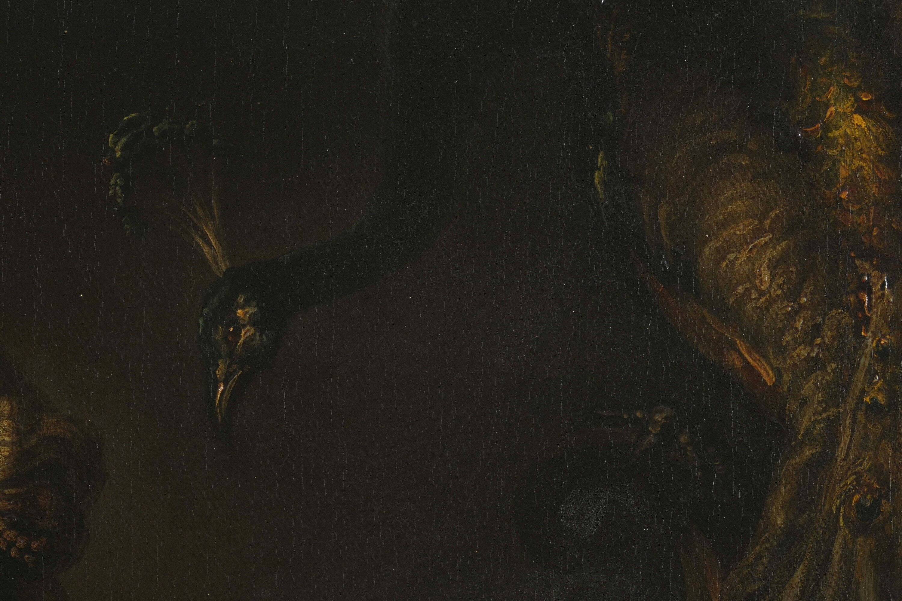 Tiziano Vecellio Copia da - La Bella, olio su tela