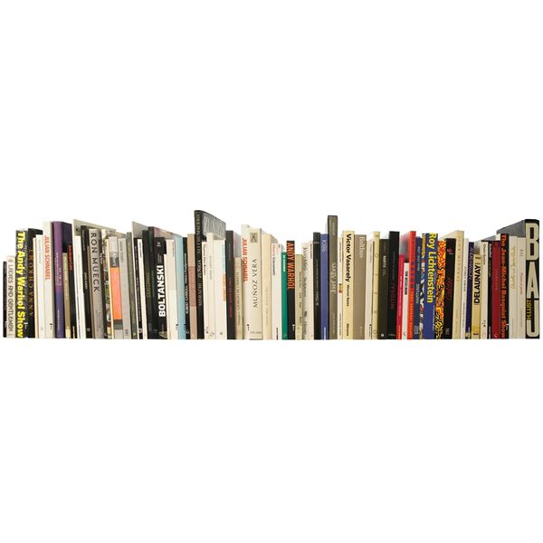 ARTE MODERNA/ ARTISTI STRANIERI SECONDA META XXe SECOLO - lotto di libri tra cui Warhol, Basquiat, Vasarely