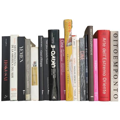 Arte extraeuropea, lotto di libri
