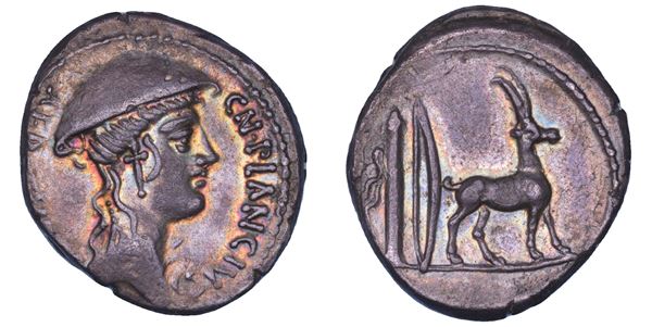 PLANCIA. Cn. Plancius. 55 a.C. Denario.